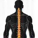 Body Support Supplements for Men