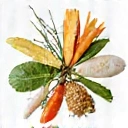 Men's Health Complexes