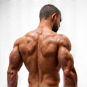 Muscle & Joint Support Icon